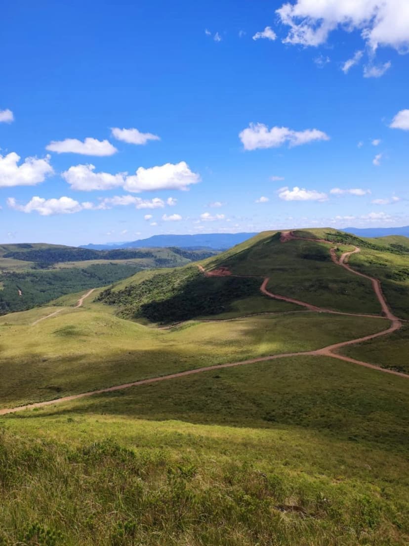 Campo dos Padres - Lote 28